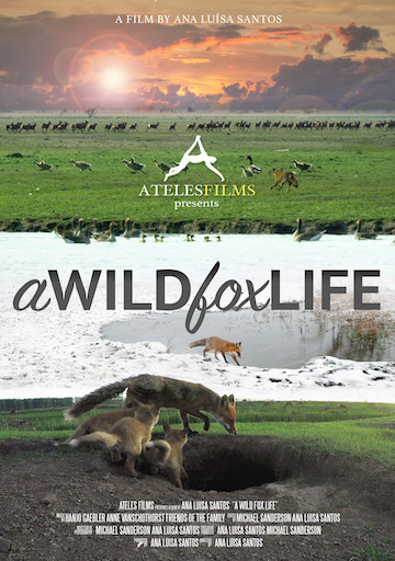 Ana Luisa Santos A Wild Fox Life