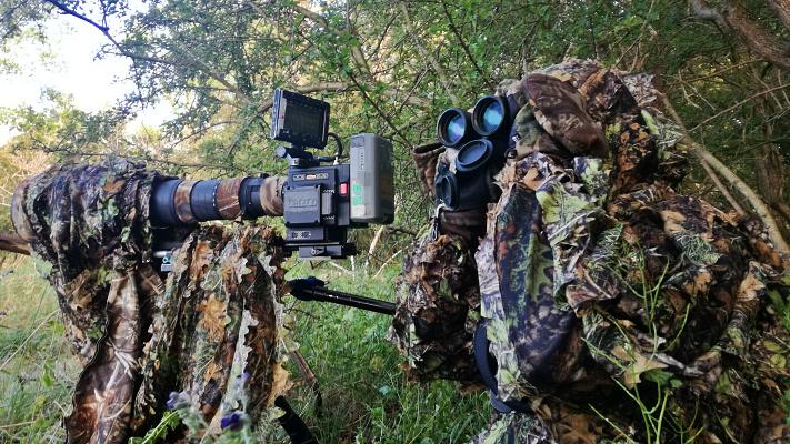 Ana Luisa Santos filming wildlife camouflaged