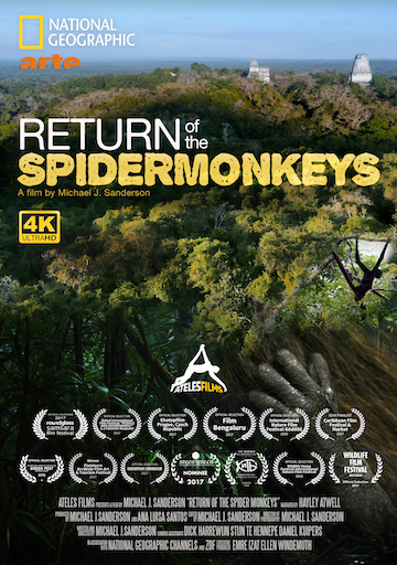 Return of the Spider Monkeys